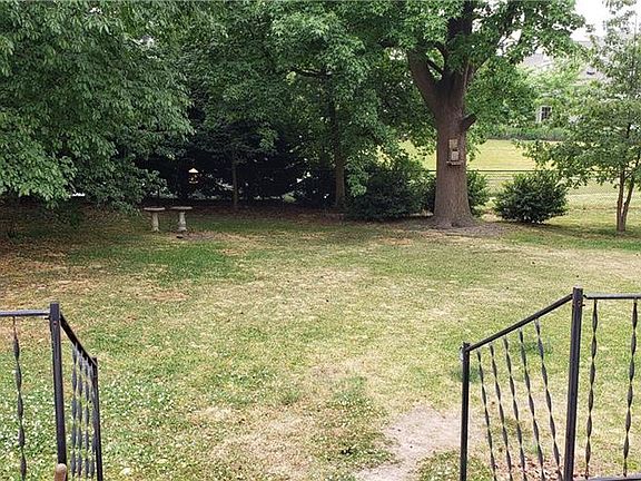 Bluebirds and all types of birds visit here regularly!  