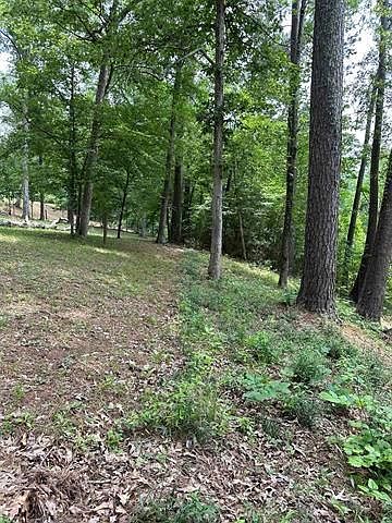 1st image of 199 Davy Crockett Ct