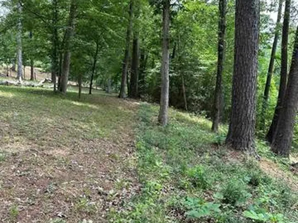 199 Davy Crockett Ct, Hemphill, TX 75948