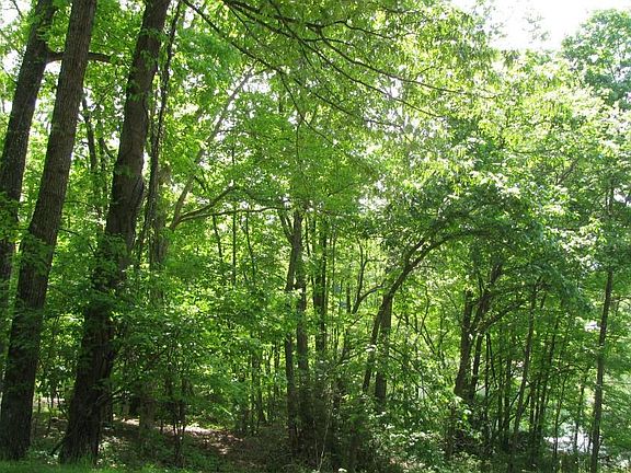 3rd image of Old Highway 64