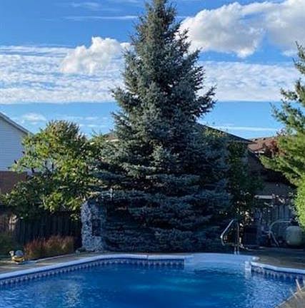 3rd image of 84 Jamieson Dr