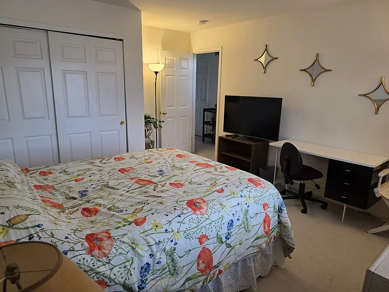 10798 Willow Reed Ct — Photo 7