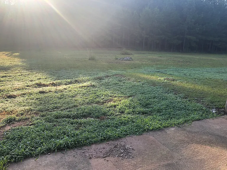 105 Hunters Run Rd — Photo 10