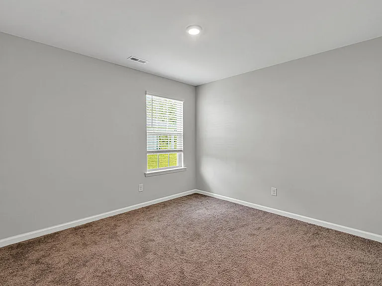 419 Turp Landing Ln — Photo 10