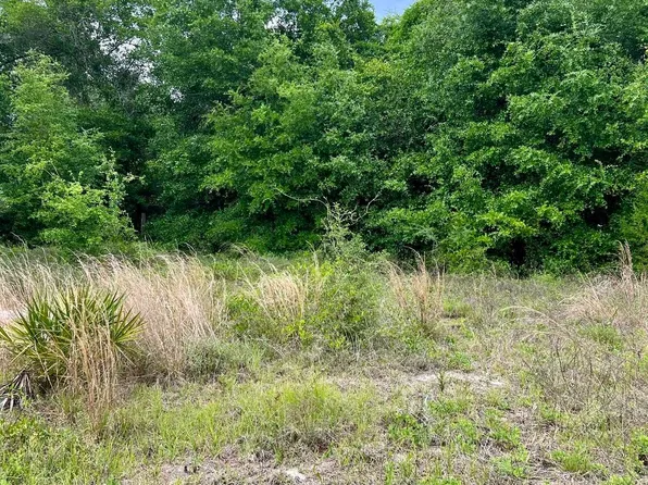 2523 Palmetto Ter, Lanark Village, FL 32323