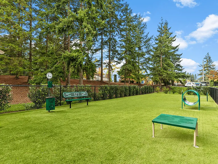 Spacious dog park with agility features for your furry friends.
