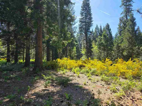 LOT 80 Panther Meadow Dr, McCloud, CA 96057