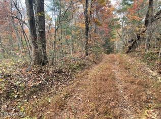 Gunter Pl, Sunbright, TN 37872