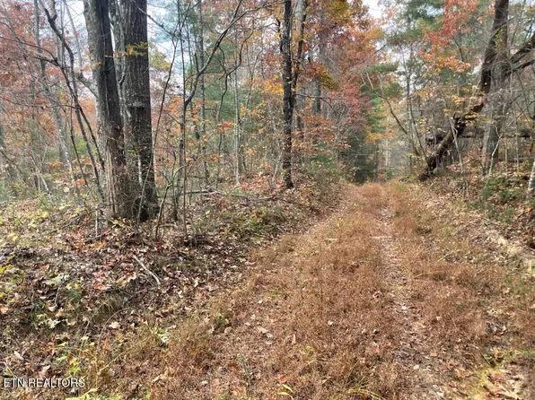 Gunter Pl, Sunbright, TN 37872