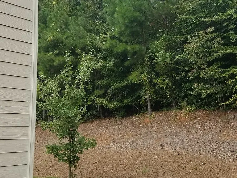 private back yard