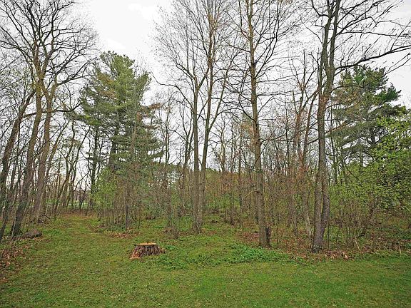 5th image of Oak Tree Rd #7