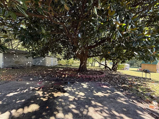 2 bed, 1223 sqft, $1,300 — Photo 2
