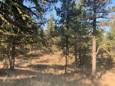 238 Great Spirit, Portola, CA, 96122
