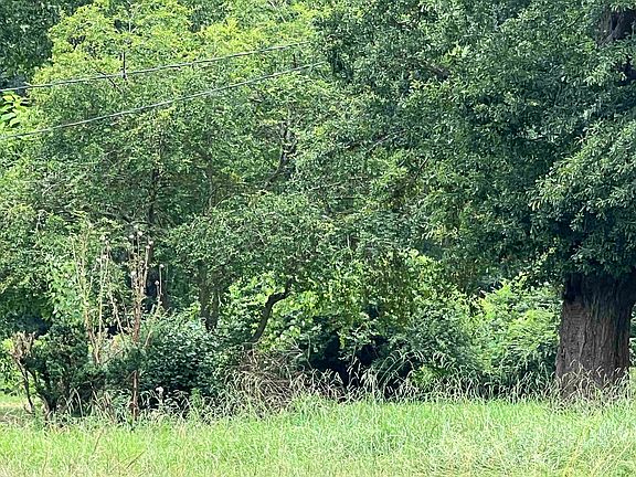 4th image of 4550 Lower Apalachee Rd Parcel A