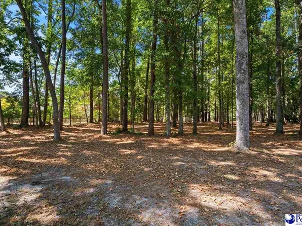 Cypress Bend Rd, Florence, SC 29506