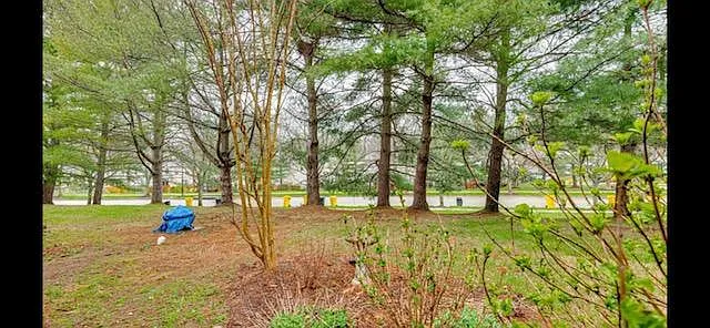 1238 Quaker Ridge Dr — Photo 15
