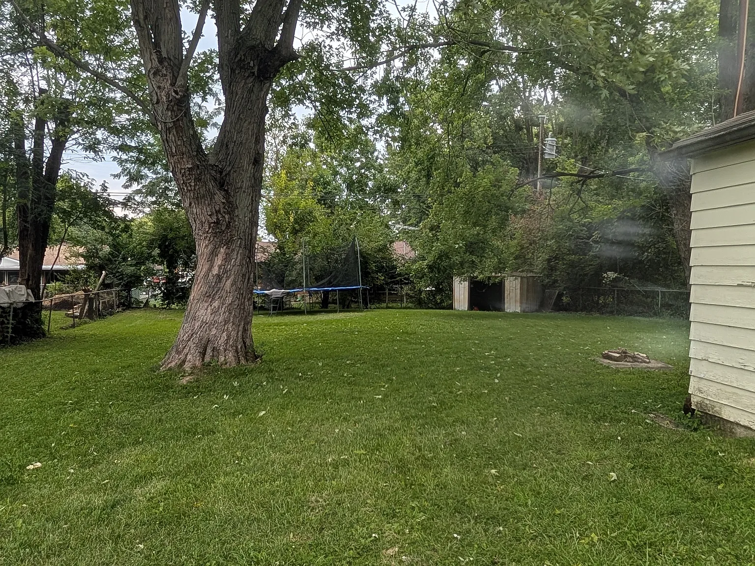 3 bed, 1.5 bath, 992 sqft, $1,500 — Photo 3