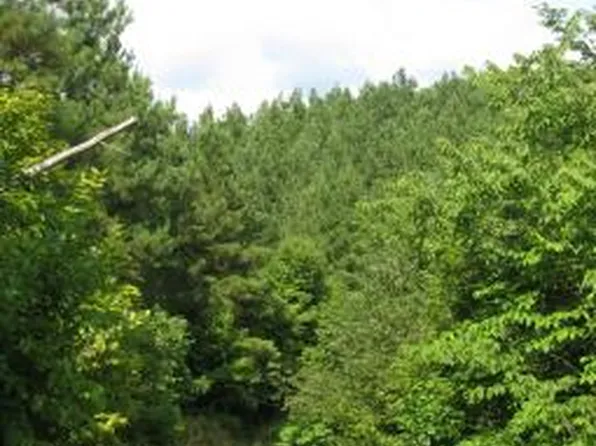 Rockhouse Rd, Linden, TN 37096