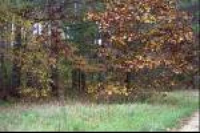 2nd image of 6237 School Rd
