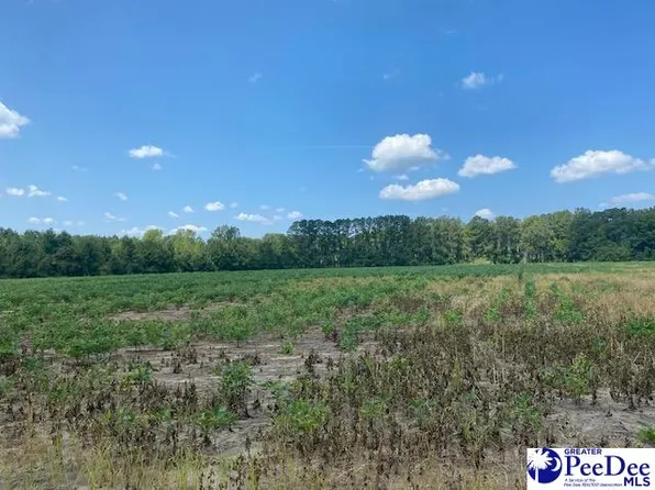 2639 Cale Yarborough Hwy, Timmonsville, SC 29161