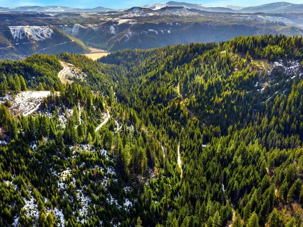 Nka Philips Draw Rd, Saint Maries, ID 83861