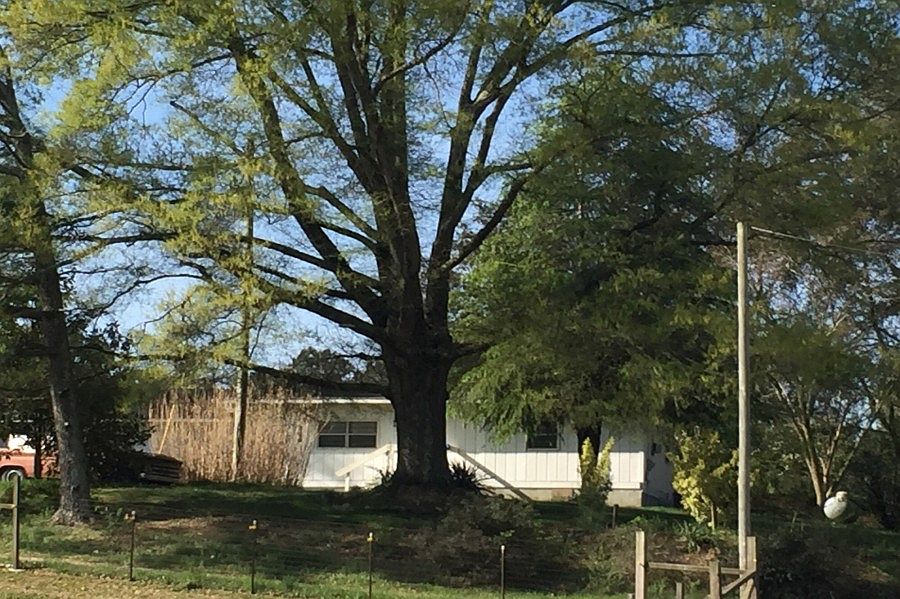 2nd image of 5417 Highway 151