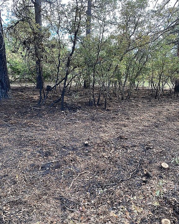 1st image of 40 Butzke Ct
