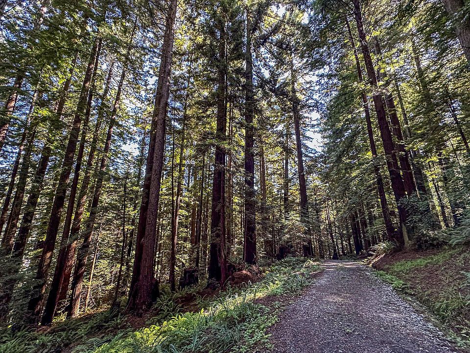 1st image of 205 Stream St