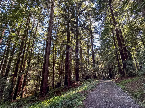 205 Stream St, Rio Dell, CA 95562