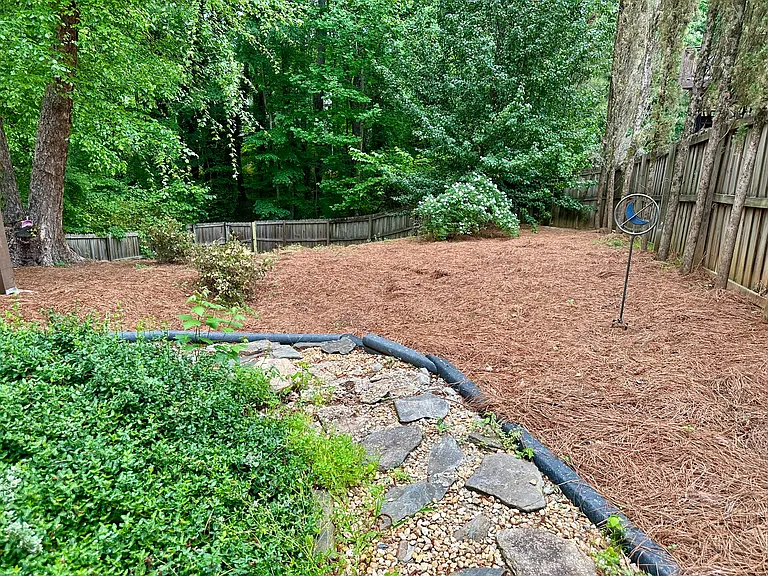 Backyard viewz