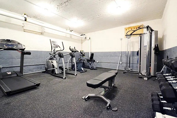 Rented by Bold Marketing | media 17