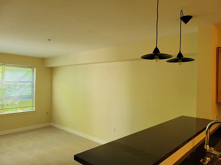 111 108th Ave NE #206 — Photo 43