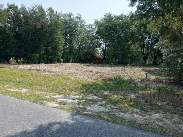 SW 128th Pl Lot 10, Ocala, FL 34473