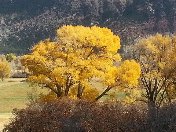 4th image of Tbd County Road 23