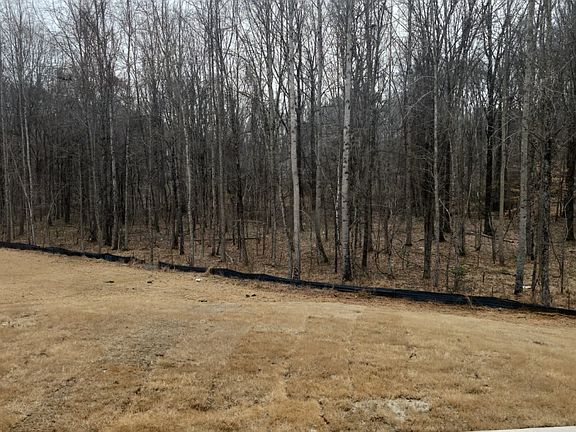 4th image of 5658 Hydrangea St