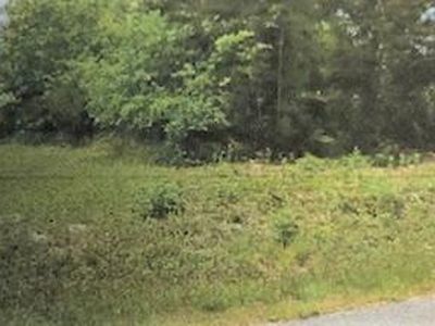 0 Daisy Payne Ln, Dry Fork, VA, 24549