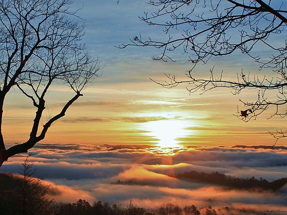 Winter views from below home