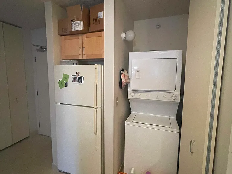 222 N Columbus Dr #2907 — Photo 10