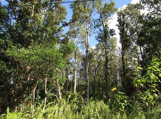 Cook St LOT 253, Pahoa, HI 96778