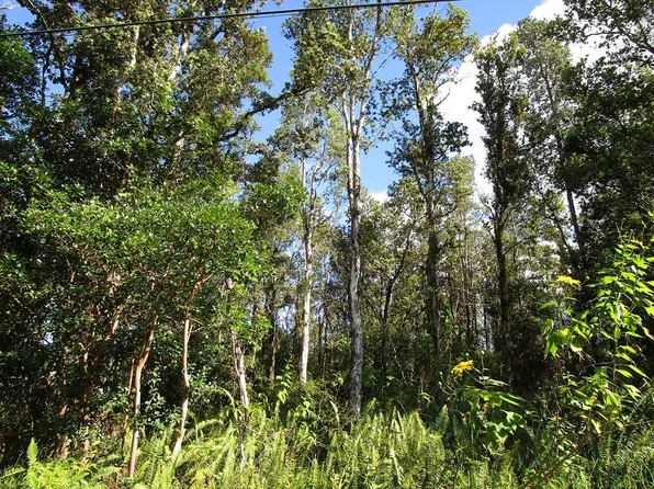 Cook St Lot 253, Pahoa, HI 96778
