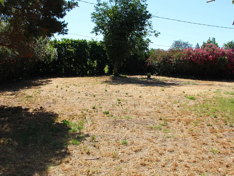 5399 Whittier Dr — Photo 25
