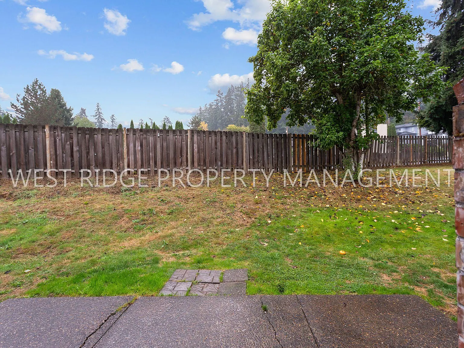 3 bed, 1800 sqft, $2,625 — Photo 2