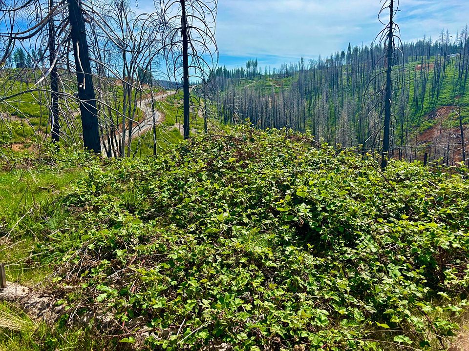 1st image of 4664 String Canyon Rd