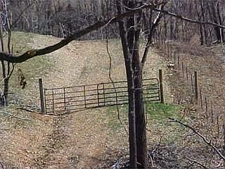 2nd image of 5677 Ervin McGarrah Rd