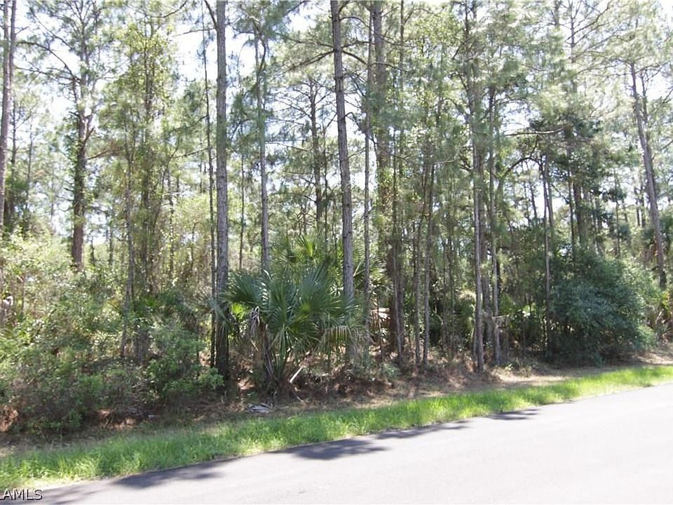 2nd image of Roderigo Ave