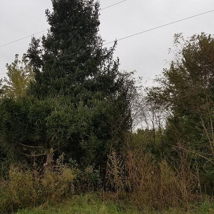 2nd image of 2529 Stringtown Rd SW