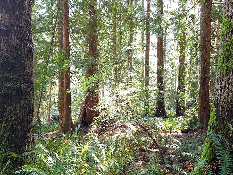 1st image of LOT 5 Gavin Rd