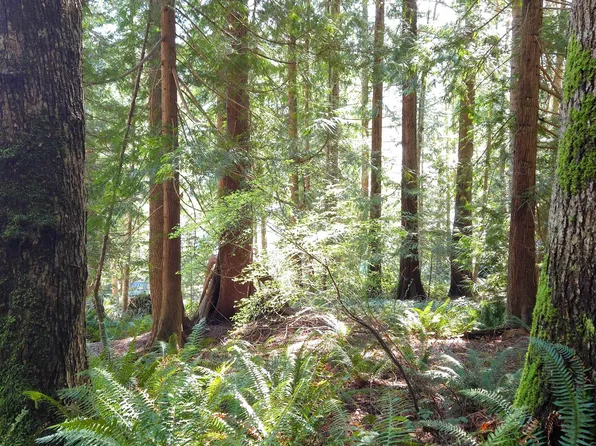 LOT 5 Gavin Rd, Sunshine Coast, BC V0N 1G2