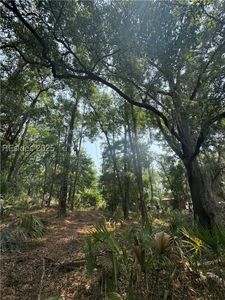 32 Haig Point Rd, Daufuskie Island, SC, 29915