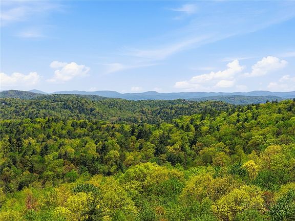 3rd image of Lot 50 Wildcat Wilderness Reserve Parkway